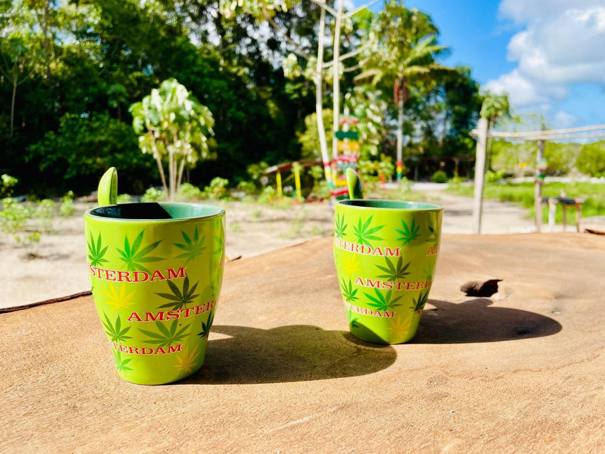 Zanderij Land Of Promise - Reggae Bar & Eco Village מראה חיצוני תמונה